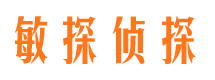 遂溪市私人调查